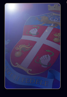 Presidente ANC - Sezione Storica di Venezia Lgt. Ilio Cofanelli